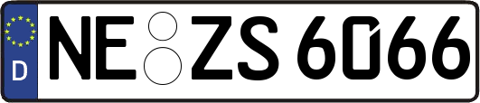 NE-ZS6066
