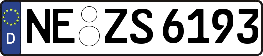 NE-ZS6193