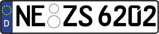 NE-ZS6202