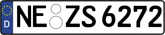 NE-ZS6272