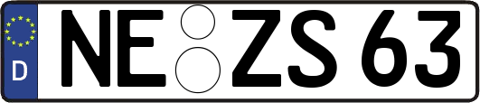 NE-ZS63