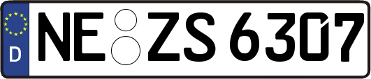 NE-ZS6307