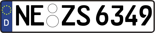NE-ZS6349
