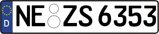 NE-ZS6353