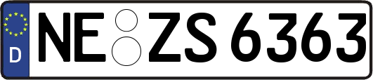 NE-ZS6363