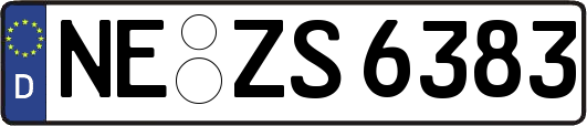 NE-ZS6383