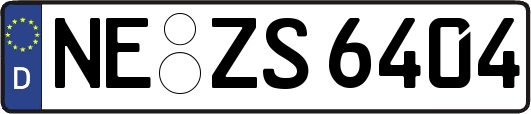 NE-ZS6404