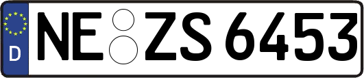 NE-ZS6453
