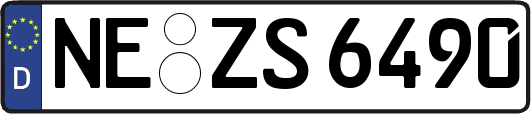 NE-ZS6490