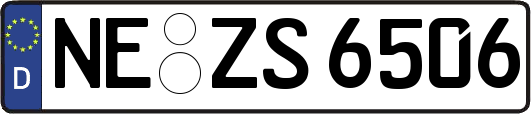 NE-ZS6506