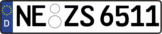 NE-ZS6511