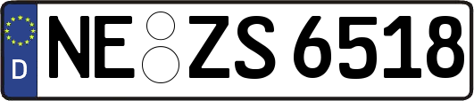 NE-ZS6518