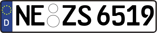 NE-ZS6519