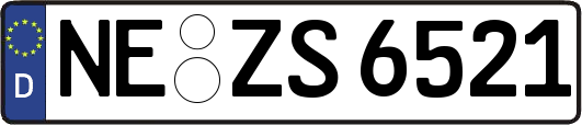 NE-ZS6521