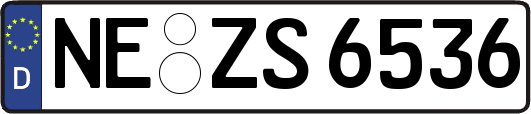NE-ZS6536