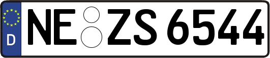 NE-ZS6544