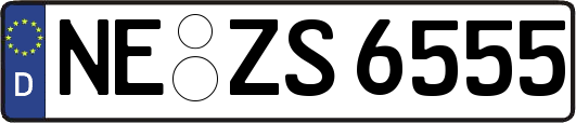 NE-ZS6555