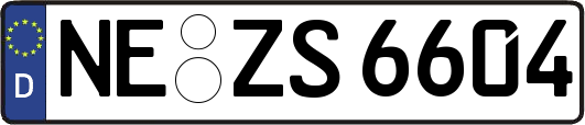 NE-ZS6604