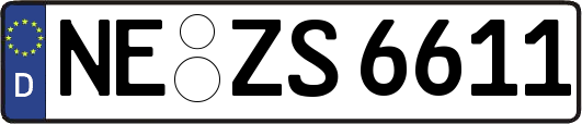 NE-ZS6611