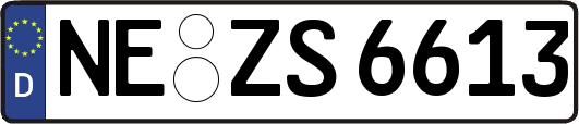 NE-ZS6613