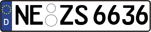 NE-ZS6636