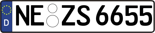 NE-ZS6655