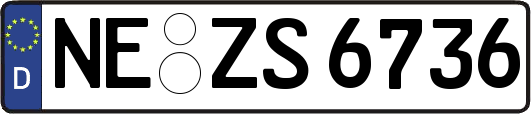 NE-ZS6736