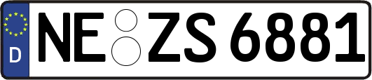 NE-ZS6881
