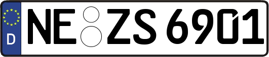 NE-ZS6901