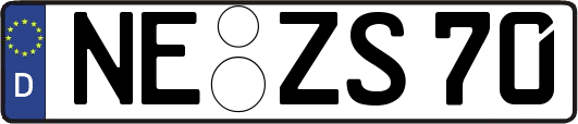 NE-ZS70