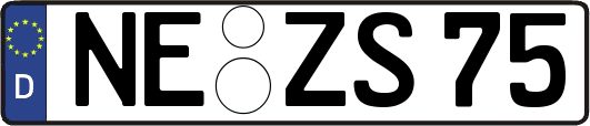 NE-ZS75