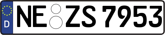 NE-ZS7953