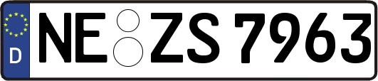 NE-ZS7963