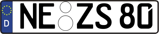 NE-ZS80