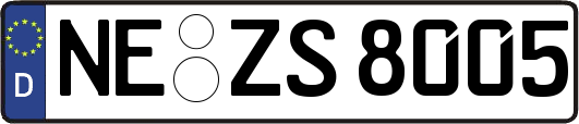 NE-ZS8005