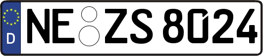 NE-ZS8024