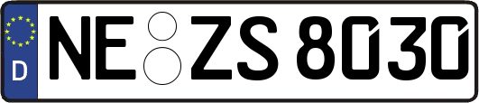 NE-ZS8030