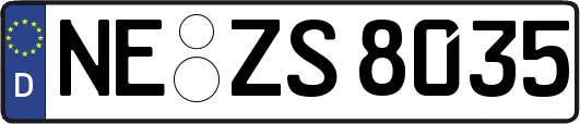 NE-ZS8035