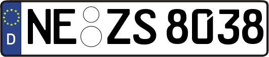 NE-ZS8038