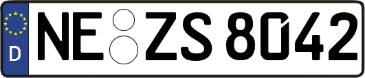 NE-ZS8042