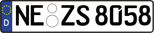 NE-ZS8058