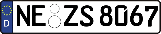NE-ZS8067