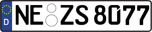 NE-ZS8077