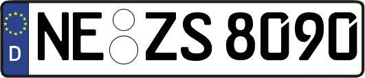 NE-ZS8090