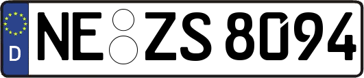 NE-ZS8094