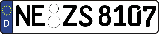 NE-ZS8107