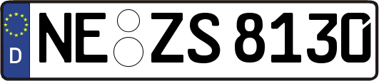 NE-ZS8130