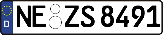 NE-ZS8491