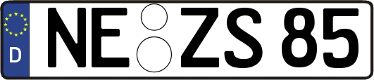 NE-ZS85