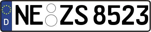 NE-ZS8523